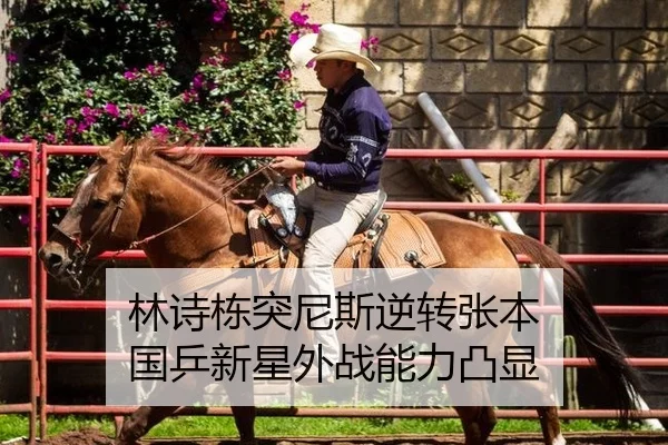 lin-shi-dong-tu-ni-si-ni-zhuan-zhang-ben-guo-ping-xin-xing-wai-zhan-neng-li-tu-xian-2-105.jpg