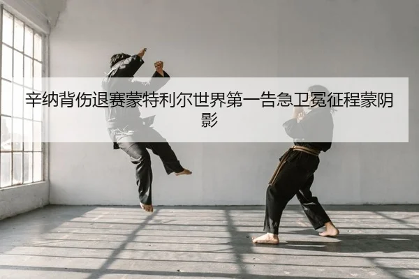 xin-na-bei-shang-tui-sai-meng-te-li-er-shi-jie-di-yi-gao-ji-wei-mian-zheng-cheng-meng-yin-ying-2-949.jpg