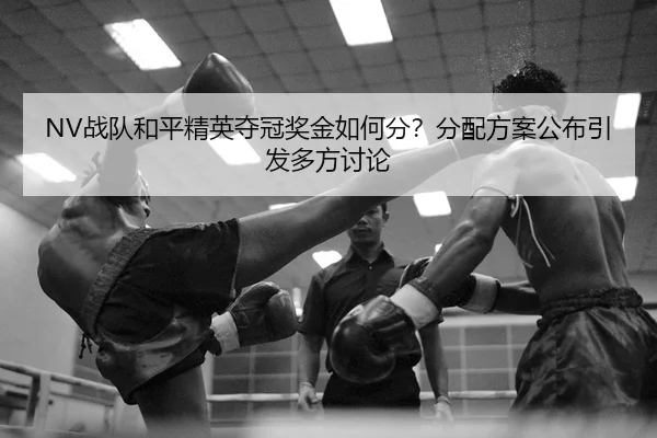zhan-dui-he-ping-jing-ying-duo-guan-jiang-jin-ru-he-fen-fen-pei-fang-an-gong-bu-yin-fa-duo-fang-tao-lun-2-468.jpg