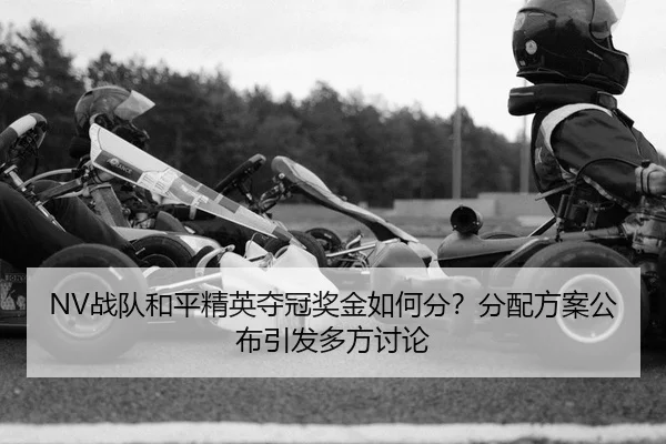 NV战队和平精英夺冠奖金如何分？分配方案公布引发多方讨论